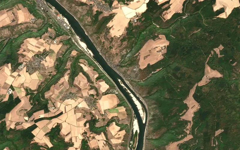 The same stretch of the Rhine in 2026: a narrower channel, with wide pale strips of exposed bed along the banks.