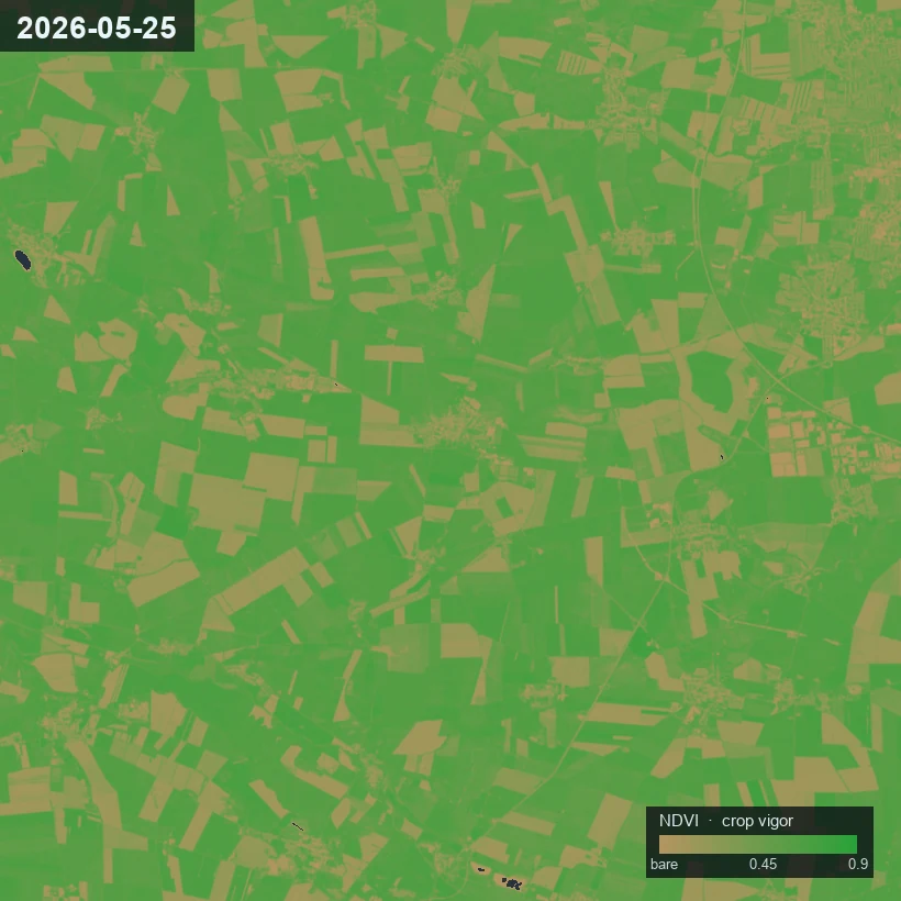 A real NDVI crop-vigour map over cropland — greener parcels mark a stronger canopy, tan marks bare or thin crop — with a scale legend